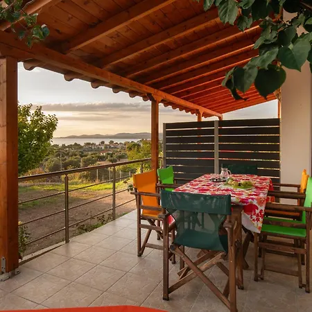 Vera Views 尼基季