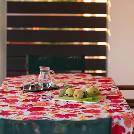 Vera Views 尼基季