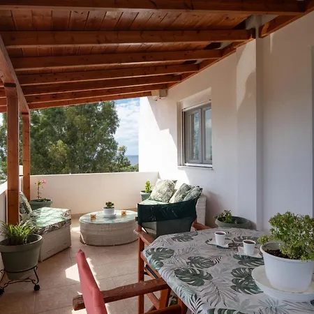 Vera Views 尼基季