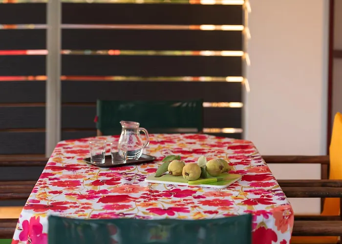 Vera Views 니키티